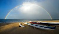 Morning in Maui�